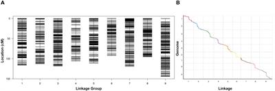Mapping of dynamic quantitative trait loci for plant height in a RIL population of foxtail millet (Setaria italica L.)